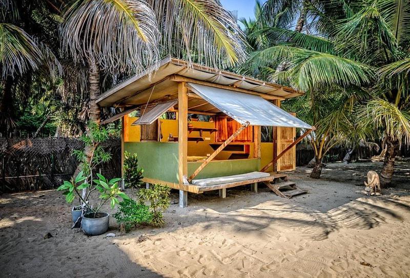 Kite House Cafe Bed and Breakfast Kalpitiya Esterno foto