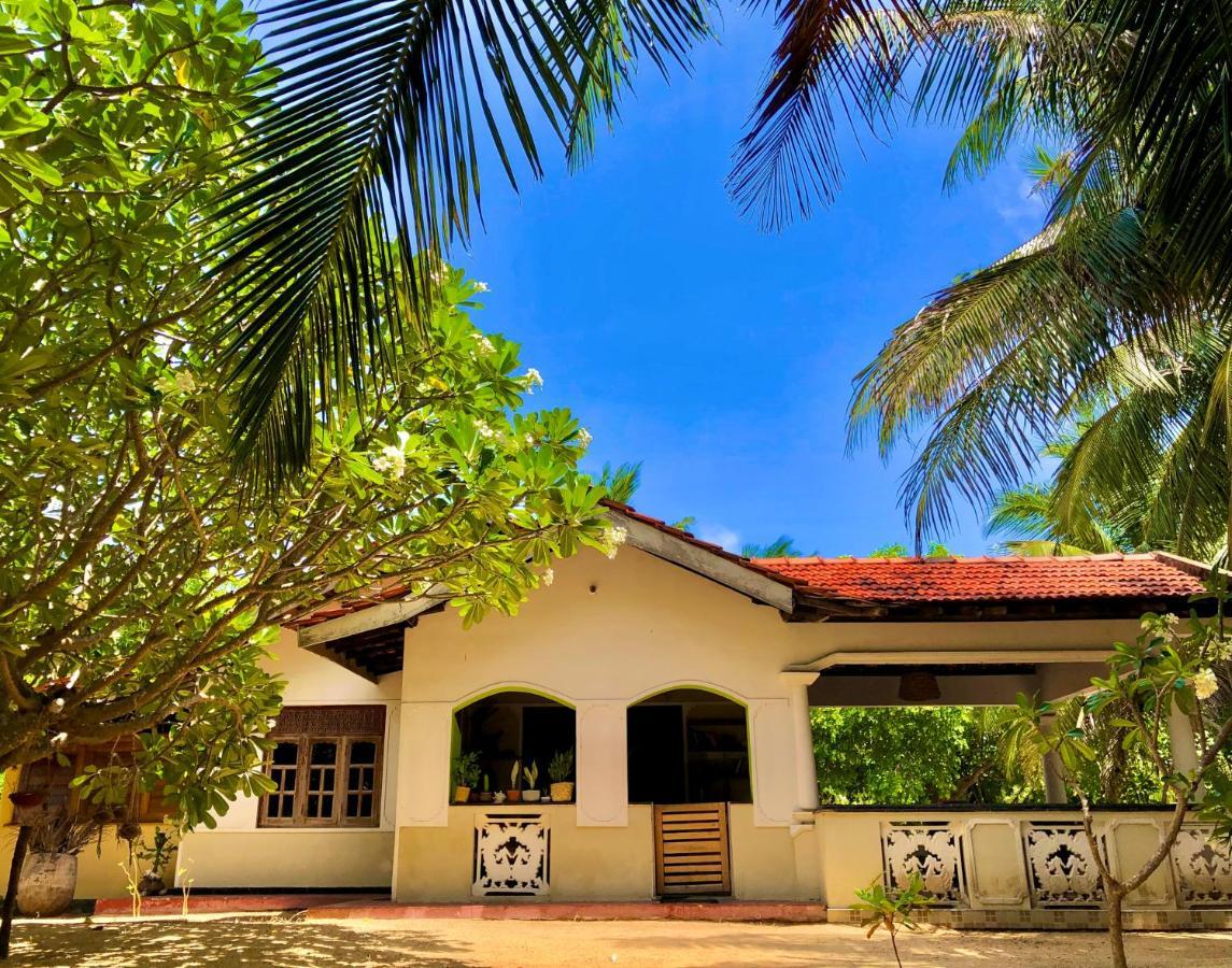 Kite House Cafe Bed and Breakfast Kalpitiya Esterno foto